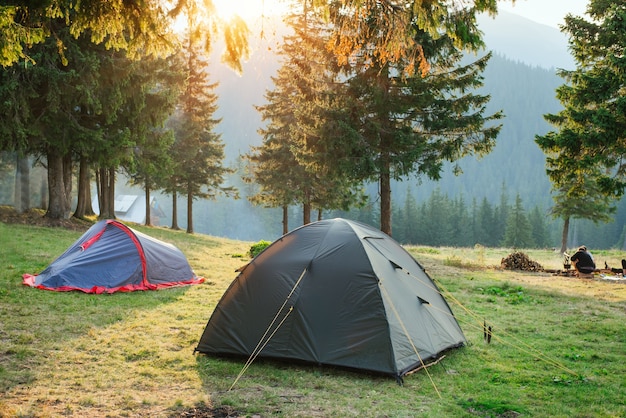 Tents in camping in the mountains surrounded with forest, campfire and tourists on the back