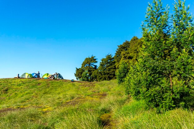 Tents on countryside landscape against clear blue sky