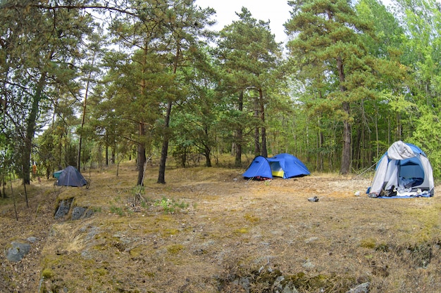 Tents in the forest and green grass. travel closer to nature by creating temporary accommodation