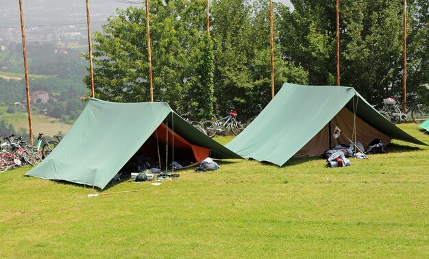 Tents on grass against trees