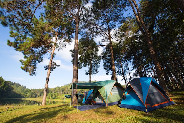 Tents on lawn.