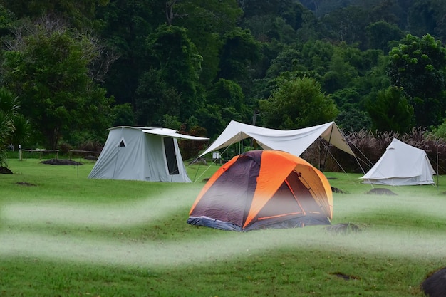 Photo tents set up a tent in the wild nature