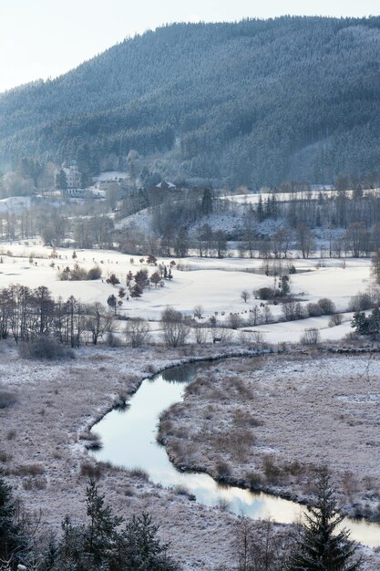 Tepla rivier in besneeuwd winterlandschap bij Cihelny Karlovy Vary