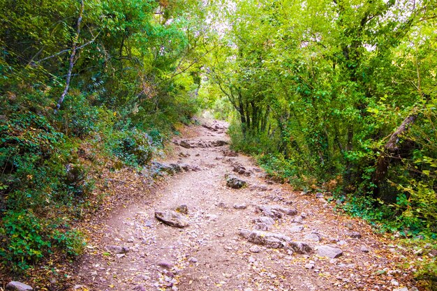 Foto termessos antieke stad is een belangrijke oude stad antalya turkije