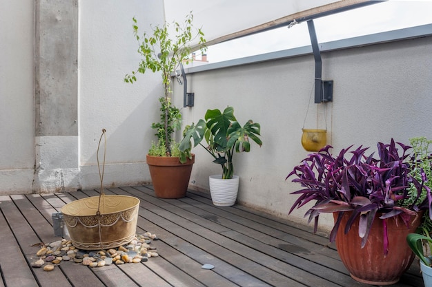 Terrace of an apartment with acacia wood floors decorative plants and stone pots below