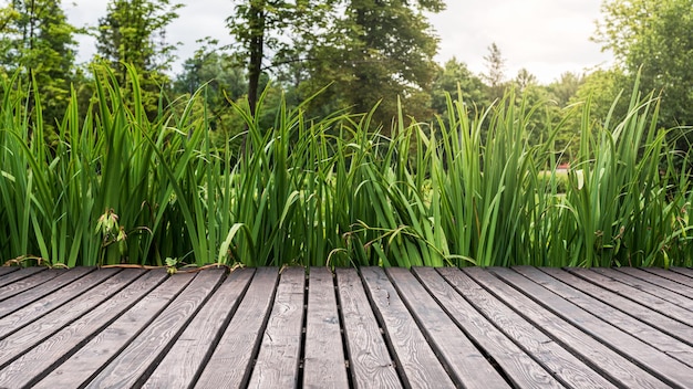 Фото Терраса из деревянных досок на фоне красивой зелени парка