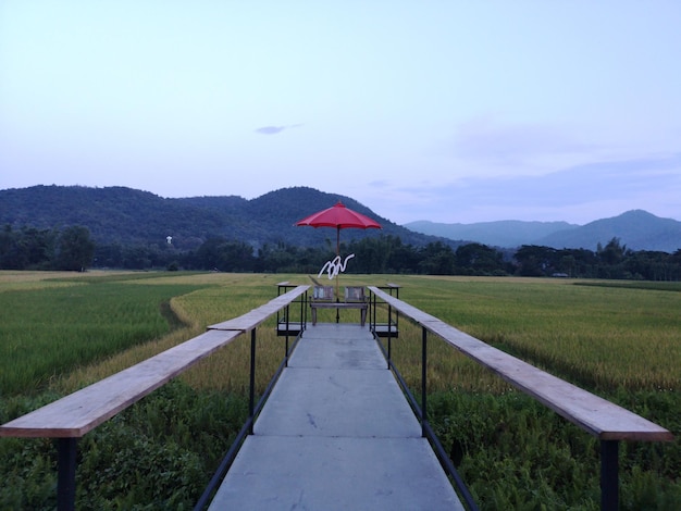 Foto una terrazza sopra un campo di riso