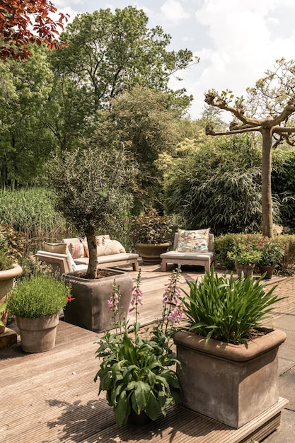 Photo a terrace with benches and plants and trees