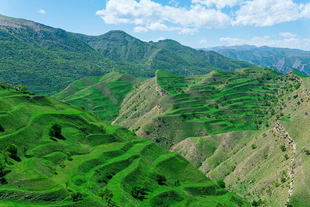 Terraced farmland on the mountain slopes in Dagestan