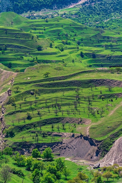 ダゲスタンの山の斜面にある段々になった農地