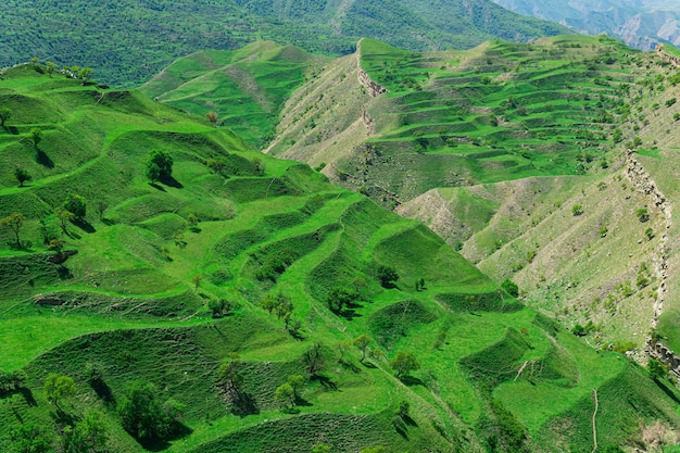 Terraced farmland on the mountain slopes in Dagestan