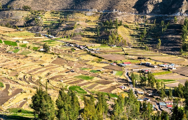 Terraced fields at Huambo near the Colca Canyon in Peru