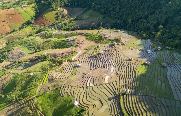 Terraced rice field at Mae Cham Chiangmai Northern Thailand