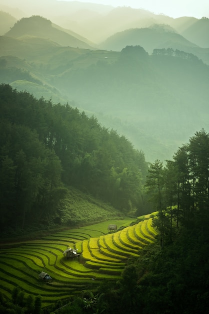 Terraced rice paddy field landscape of Mu Cang Chai, Yenbai, Northern Vietnam