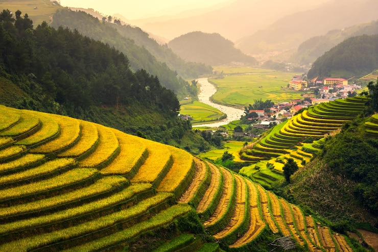 Photo terraced rice paddy field landscape of northern vietnam