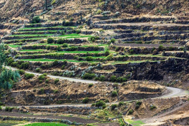 Terraces and road