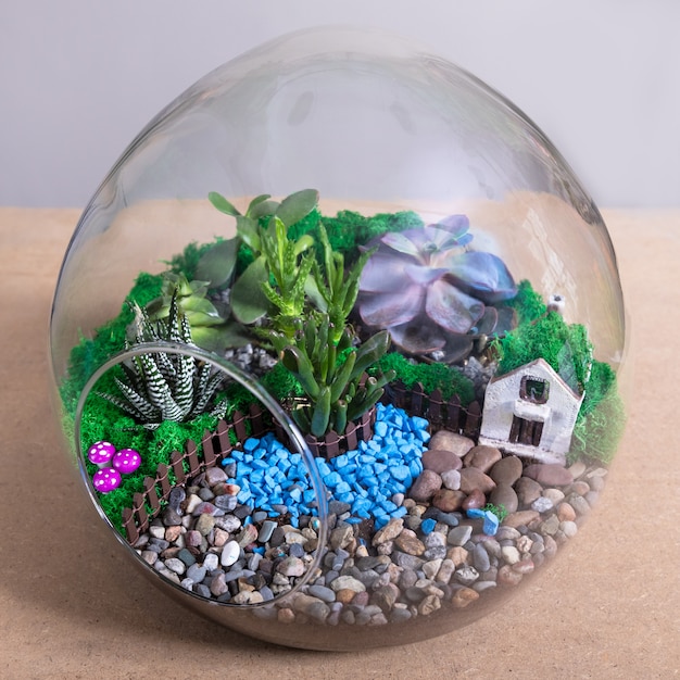 Terrariumplant in de ronde glazen pot