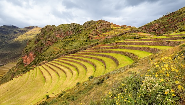 Terrassen, bloemen en het oude inca-dorp picas. peru. zuid-amerika