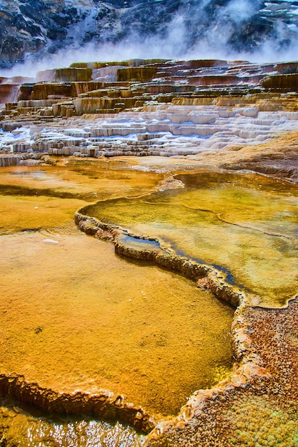 Terrassen van dichtbij bij Yellowstone met stomende warmwaterbronnen