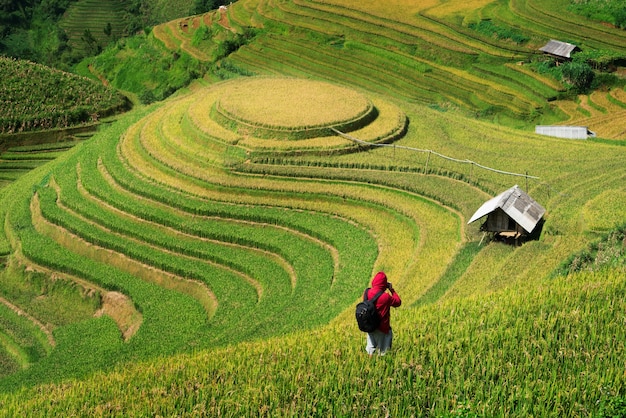 Terrasvormig padieveldlandschap in Mu Cang Chai, Vietnam