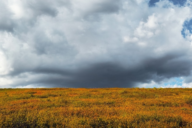 ひどい雷雲が秋の谷にかかっています。雷雨の前の空と雷雲。ミニマルな自然の背景。