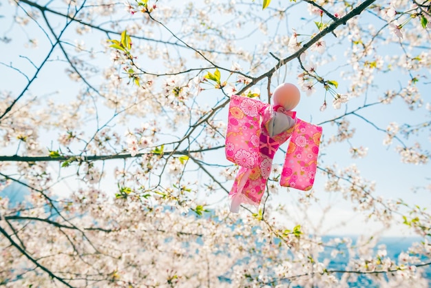 Teru Teru Bozu. Japanse regenpop die aan de Sakura-boom hangt om te bidden voor goed weer