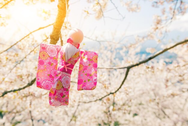 Teru Teru Bozu. Japanse regenpop die aan de Sakura-boom hangt om te bidden voor goed weer