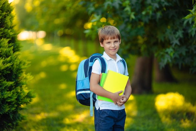 Terug naar school. Het portret van gelukkige glimlachende kindjongen met boeken dient het park in.