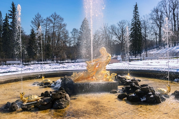 사진 peterhof 궁전 및 공원 복합 단지에서 분수의 테스트 출시 눈과 분수