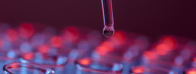 Test tube row Concept of medical or science laboratory liquid drop droplet with dropper in blue tone background close up micro photography picture