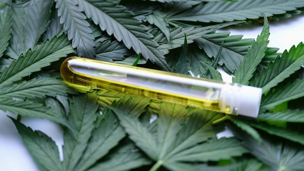 Photo test tube with cannabis extract or oil lying on green marijuana leaves closeup