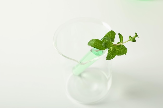 Test tube with liquid and mint in beaker on white background Chemistry concept