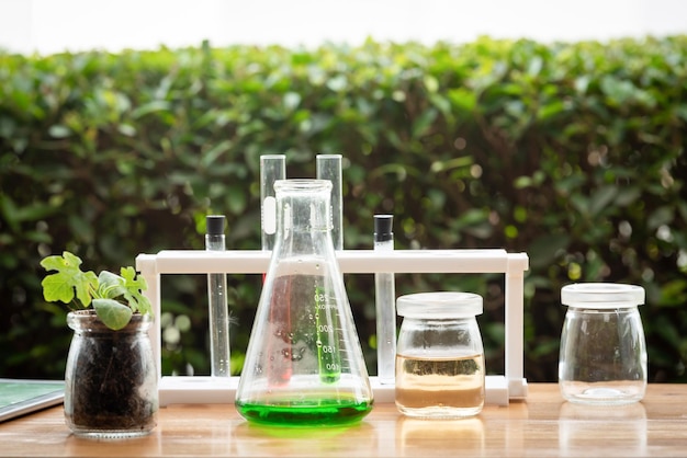 Test tubes with colorful chemical on table Science chemistry concept