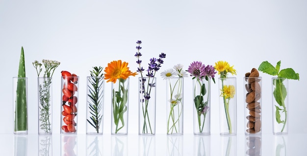 Test tubes with herbs on white background. Herbal medicine concept Herbal medicine research