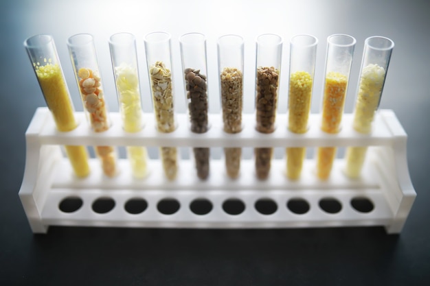 Test tubes with seeds of selection plants. Research Analyzing Agricultural Grains And seeds In The Laboratory