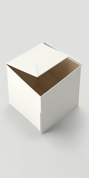 간단한 상자 디자인의 증언 사진