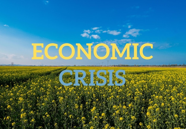 Text ECONOMIC CRISIS against defocused agriculture field message Global hunger food crisis inflation