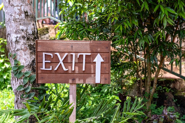 Text exit on a wooden board in a rainforest jungle of tropical Bali island, Indonesia. Exit wooden sign inscription in the asian tropics. Close up