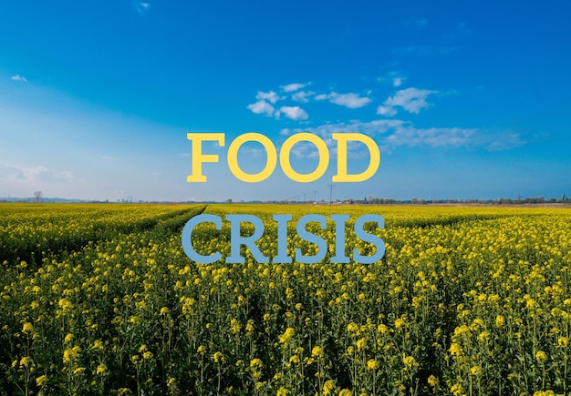 Text food crisis against defocused agriculture field message\
global hunger food crisis inflation