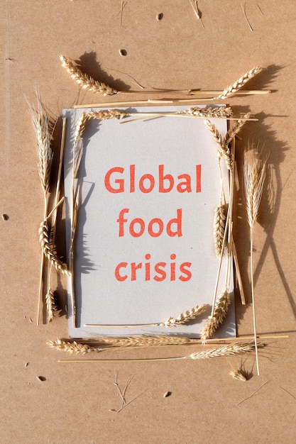 Text Food crisis in frame made of wheat ears on recycled paper Natural frame on recycled beige cardboard