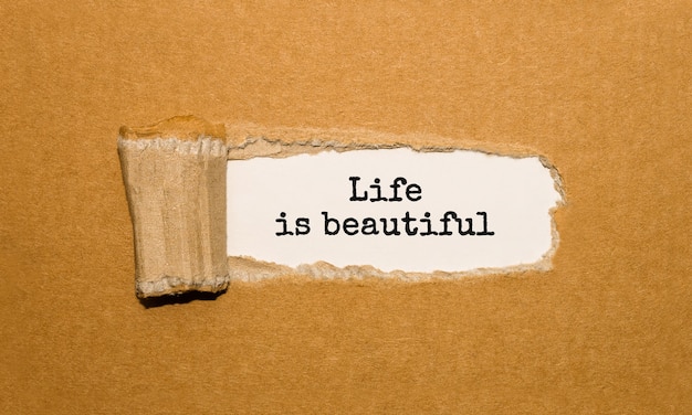 破れた茶色の紙の後ろに現れる「人生は美しい」というテキスト