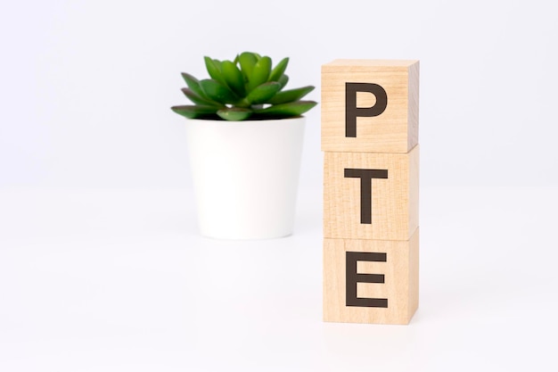 Text PTE on wooden blocks in white background with copy space