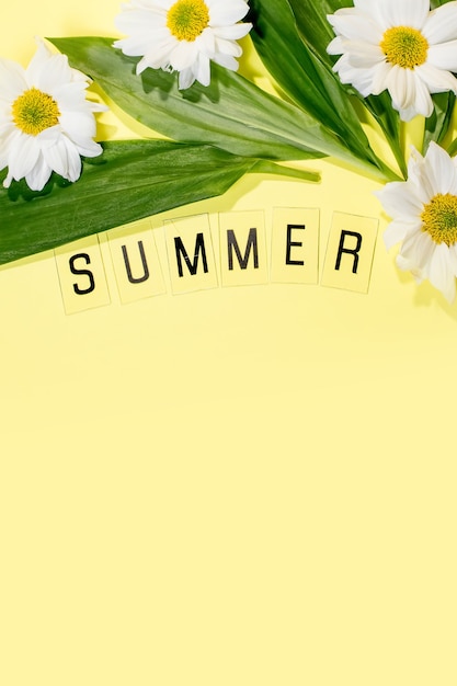 写真 黄色の背景に文字とフィールドカモミールの花からsummerにテキストを送信します。グリーティングカードフラットレイコピースペースコンセプトこんにちは夏、夏。