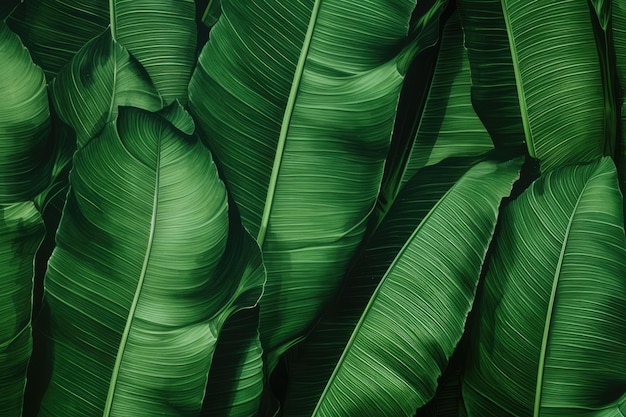 Textile repeat pattern of banana leaf