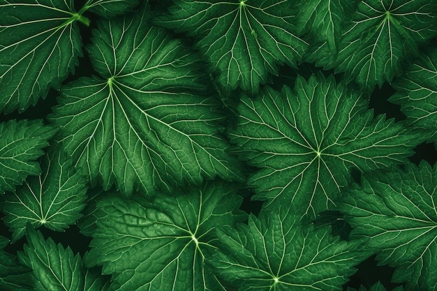 Textile repeat pattern of green leaf