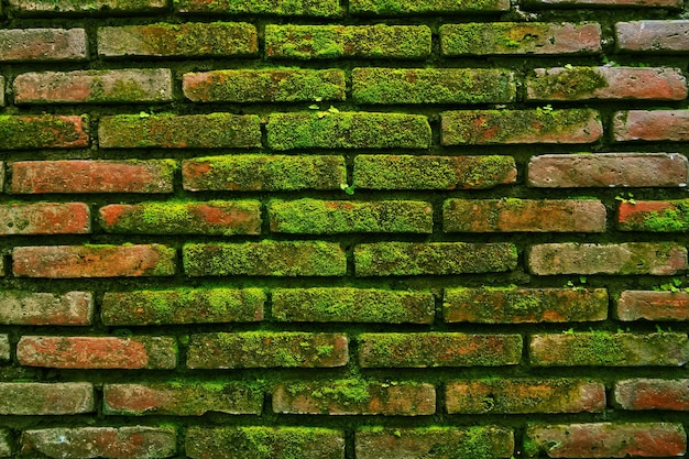texture of the arrangement of red bricks for the walls of the house