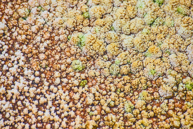 Texture asset of terraces at yellowstone hot springs