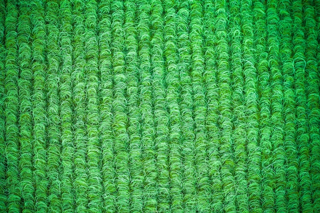 Texture Background brown carpet.