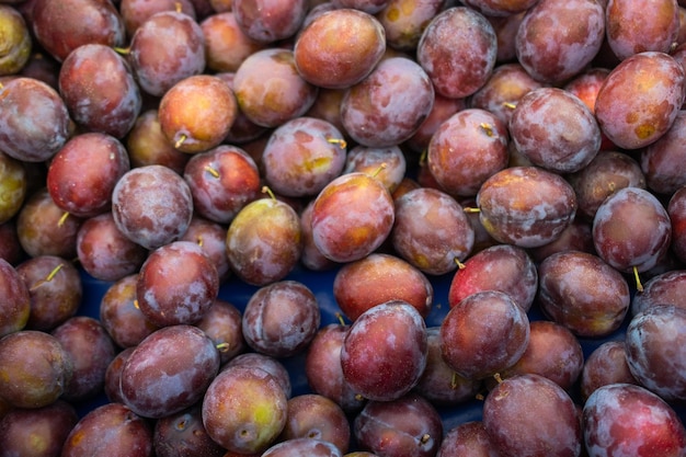 Texture background of fresh blue plums as fruit image