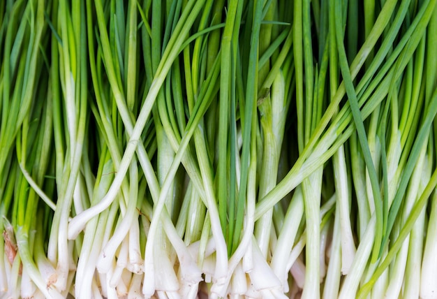 Texture background of fresh scallion